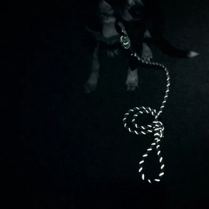 Alpine Reflective Leash