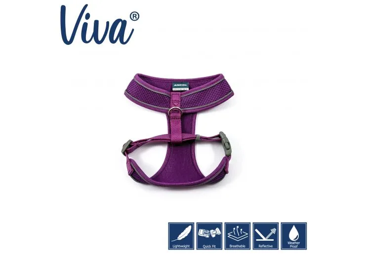 Ancol - Viva Comfort Mesh Harness - Purple - Small (34-45cm)