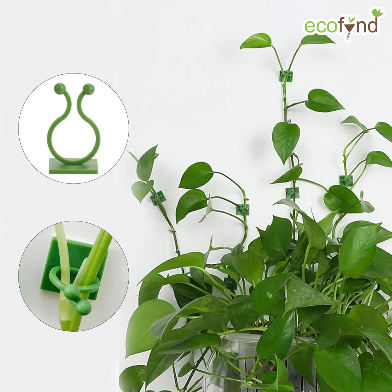 Plant Clips for Climbing Plants