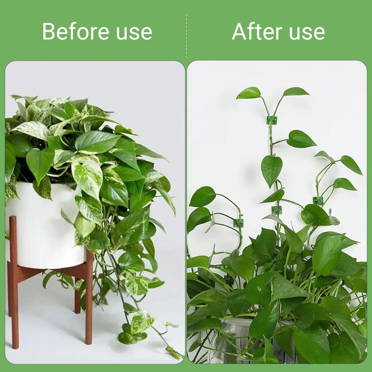 Plant Clips for Climbing Plants