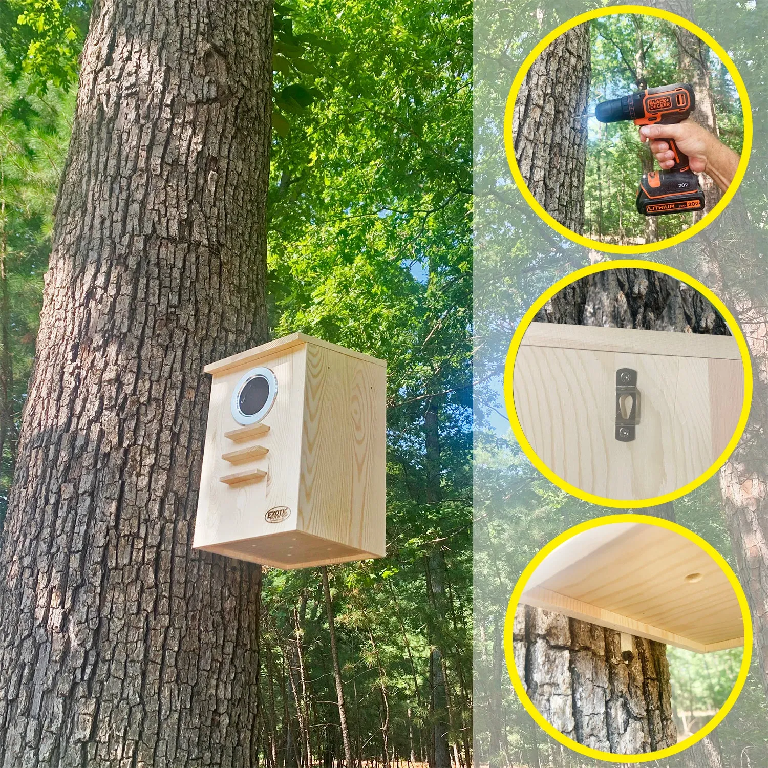 Squirrel Nest Box